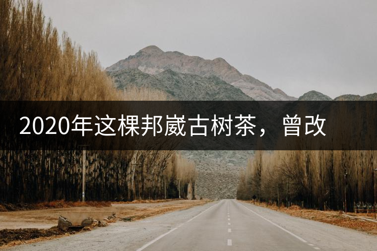 2020年這棵邦崴古樹茶，曾改寫普洱茶歷史！-易武中聘號