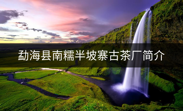 勐??h南糯半坡寨古茶廠簡介 勐海縣南糯半坡寨古茶廠簡介