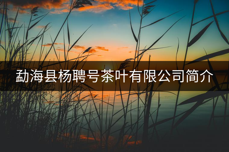 勐海縣楊聘號(hào)茶葉有限公司簡(jiǎn)介 勐??h楊聘號(hào)茶葉有限公司簡(jiǎn)介