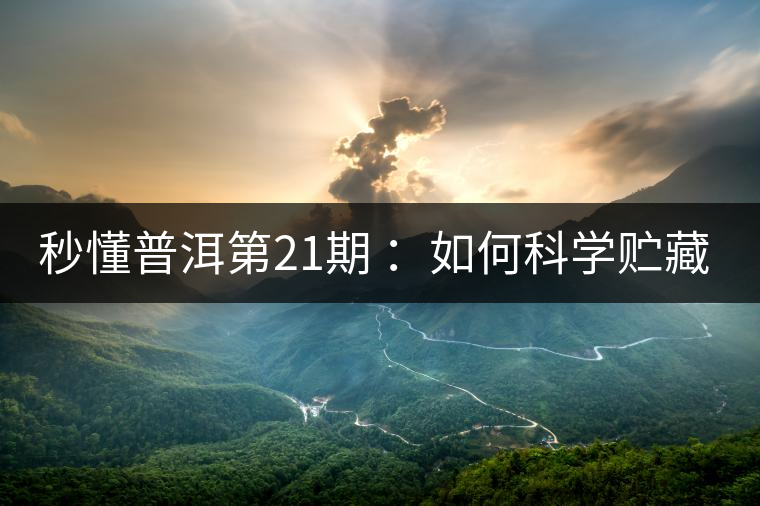 秒懂普洱第21期 ：如何科學(xué)貯藏普洱茶？