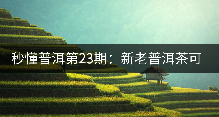 秒懂普洱第23期：新老普洱茶可以放到一起嗎？