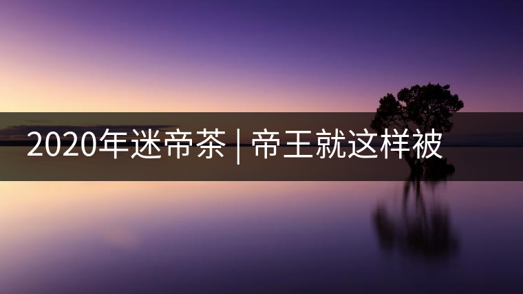 2020年迷帝茶 | 帝王就這樣被迷住了？-易武中聘號(hào)