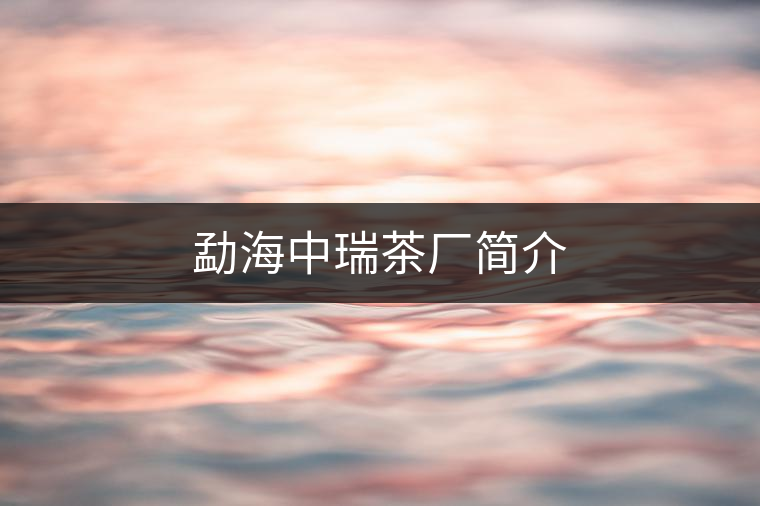 勐海中瑞茶廠簡(jiǎn)介