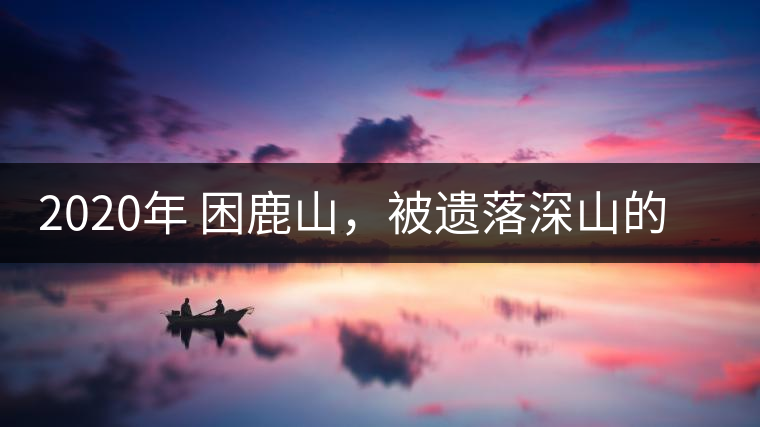 2020年 困鹿山，被遺落深山的皇家古茶園-易武中聘號