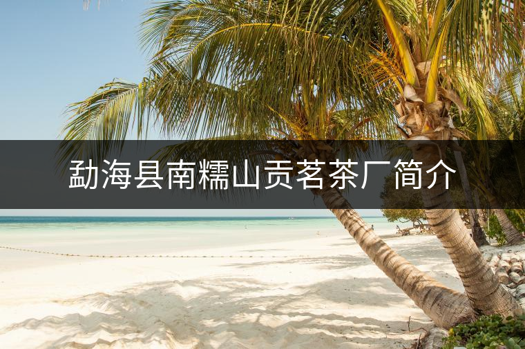 勐?？h南糯山貢茗茶廠簡介