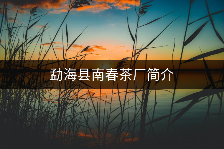 勐?？h南春茶廠簡(jiǎn)介