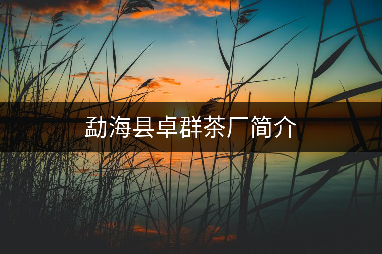 勐?？h卓群茶廠簡(jiǎn)介