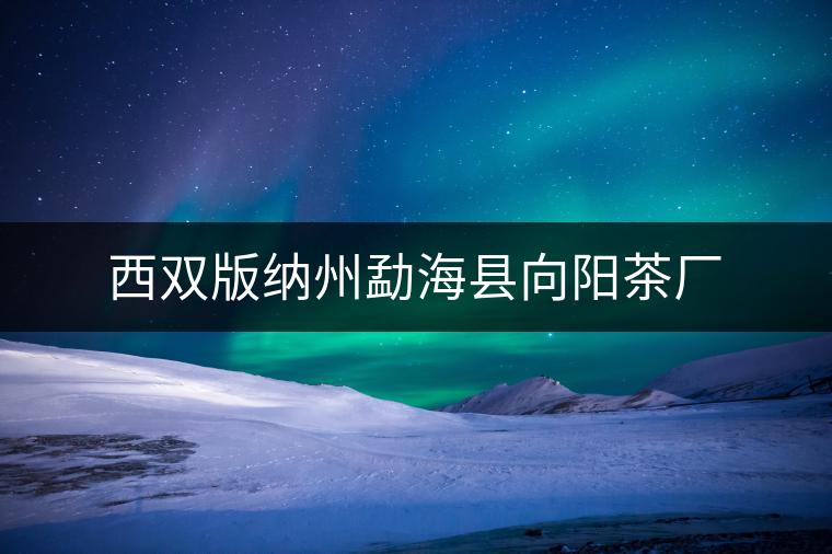 西雙版納州勐?？h向陽茶廠