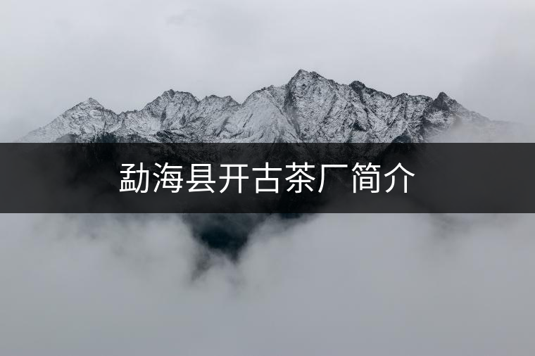 勐?？h開古茶廠簡(jiǎn)介