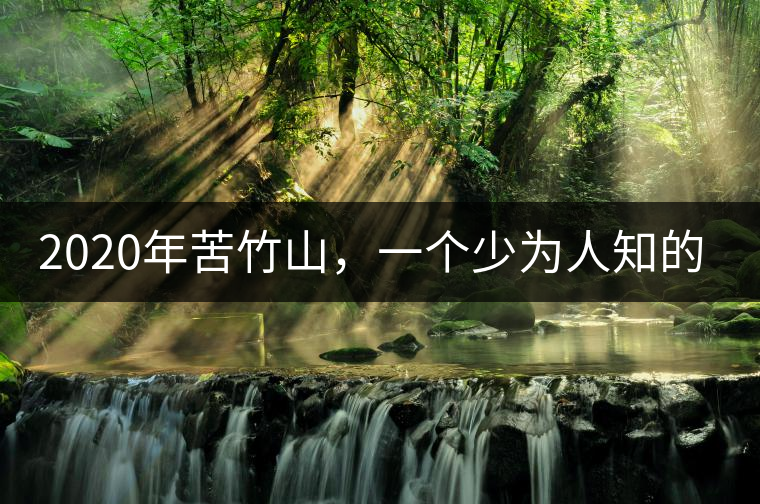 2020年苦竹山，一個少為人知的后起之秀！-易武中聘號