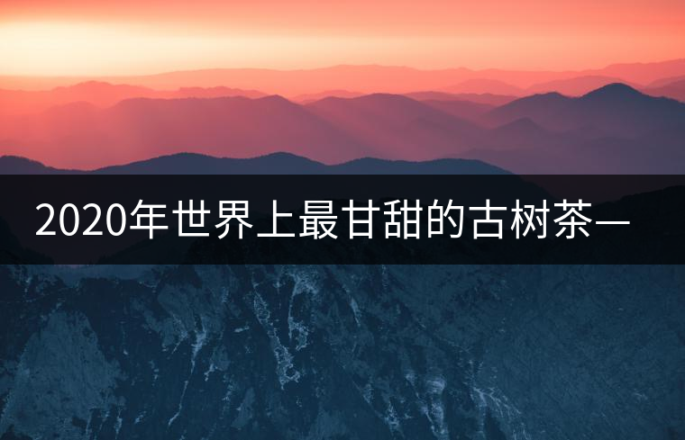 2020年世界上最甘甜的古樹茶—黃草壩古茶-易武中聘號(hào) 2020年世界上最甘甜的古樹茶—黃草壩古茶-易武中聘號(hào)