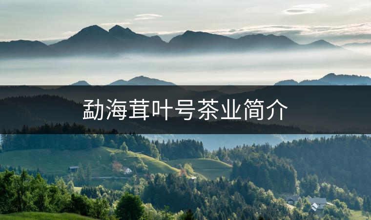 勐海茸葉號茶業(yè)簡介