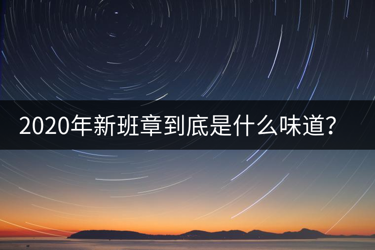 2020年新班章到底是什么味道？-易武中聘號(hào)