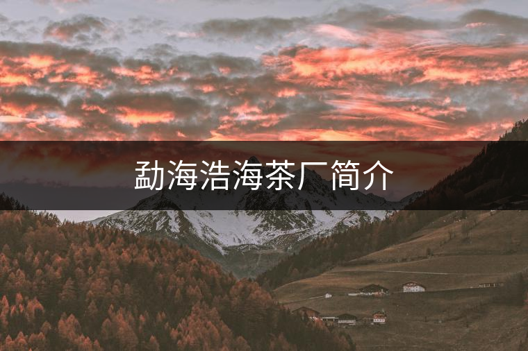 勐海浩海茶廠簡(jiǎn)介