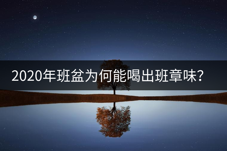 2020年班盆為何能喝出班章味？-易武中聘號