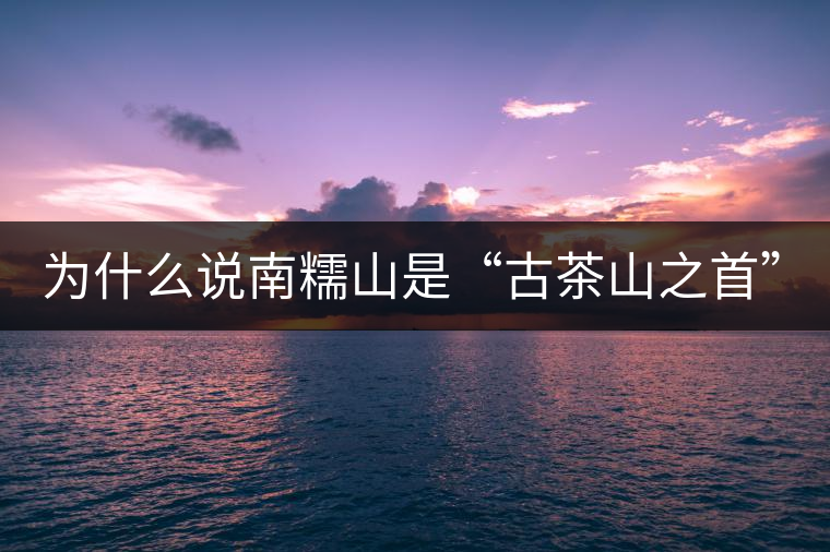 為什么說(shuō)南糯山是“古茶山之首”？