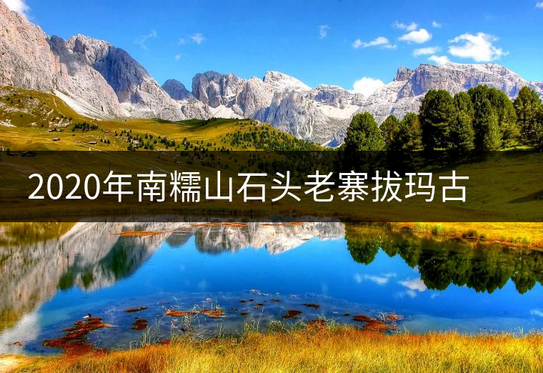 2020年南糯山石頭老寨拔瑪古樹：醇柔之質，綿遠之韻-易武中聘號