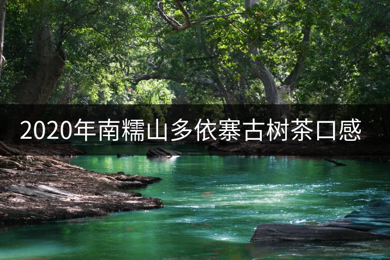 2020年南糯山多依寨古樹(shù)茶口感特點(diǎn)