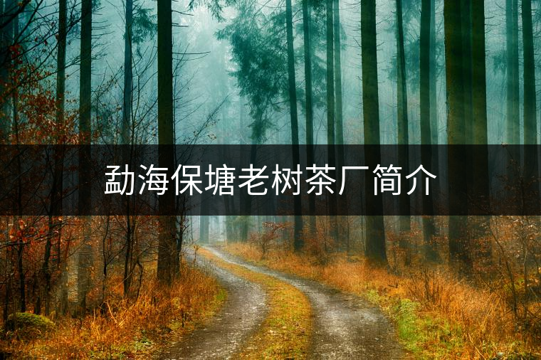 勐海保塘老樹茶廠簡(jiǎn)介
