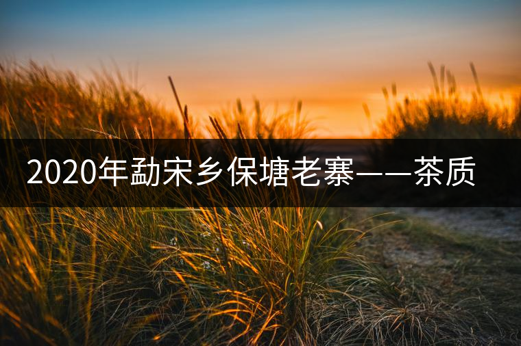 2020年勐宋鄉(xiāng)保塘老寨——茶質厚重,一飲難忘-易武中聘號 2020年勐宋鄉(xiāng)保塘老寨——茶質厚重,一飲難忘-易武中聘號