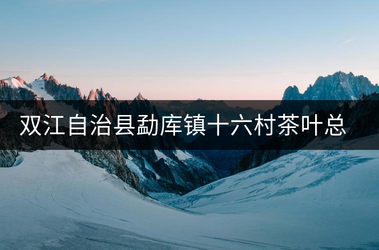 雙江自治縣勐庫鎮(zhèn)十六村茶葉總匯元夢(mèng)茶廠簡介