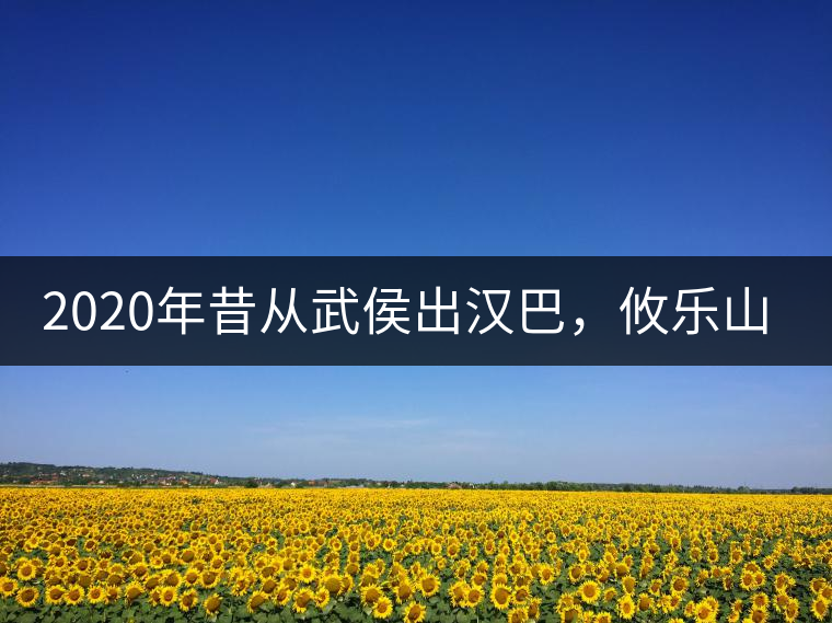 2020年昔從武侯出漢巴，攸樂山中只種茶。-易武中聘號