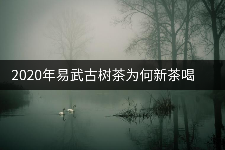 2020年易武古樹茶為何新茶喝時淡卻越放越濃？-易武中聘號
