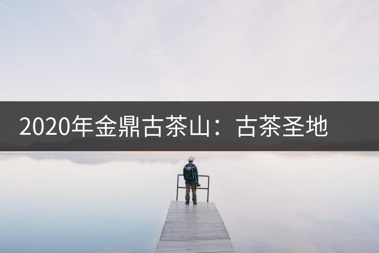 2020年金鼎古茶山：古茶圣地 探險(xiǎn)樂園-易武中聘號