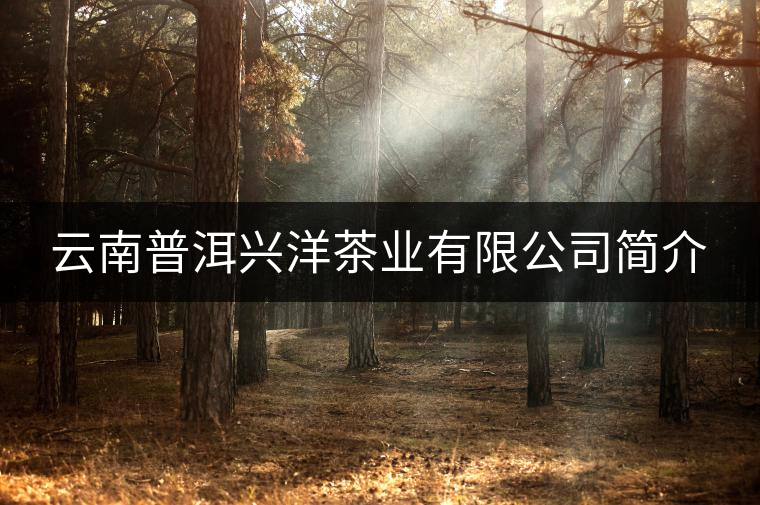 云南普洱興洋茶業(yè)有限公司簡(jiǎn)介