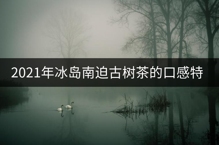 2021年冰島南迫古樹茶的口感特點(diǎn)！