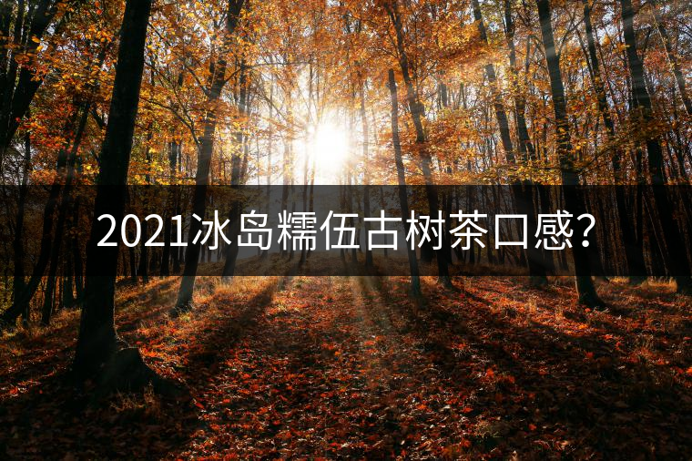 2021冰島糯伍古樹茶口感？