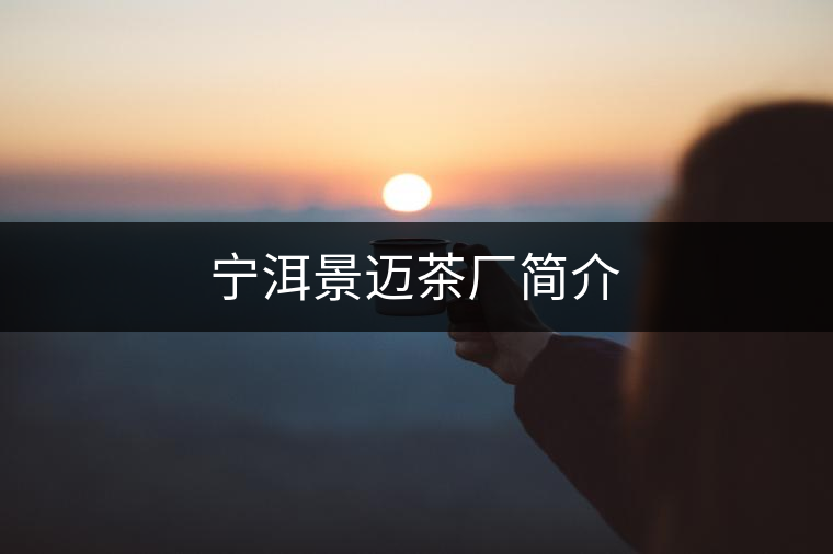 寧洱景邁茶廠簡介