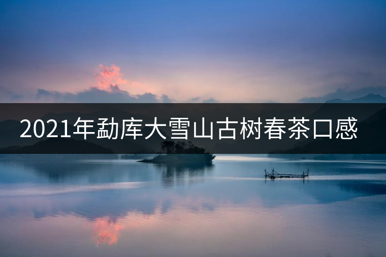 2021年勐庫(kù)大雪山古樹(shù)春茶口感特點(diǎn)？