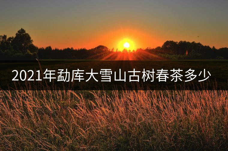 2021年勐庫大雪山古樹春茶多少錢一公斤？