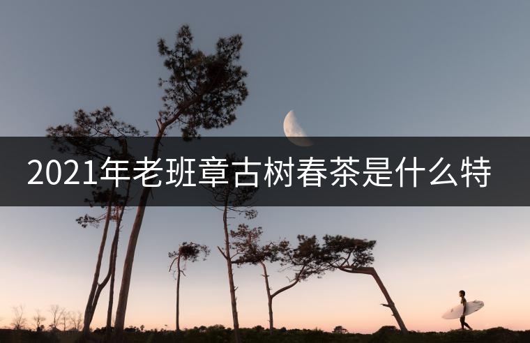 2021年老班章古樹(shù)春茶是什么特點(diǎn)？