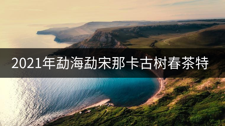 2021年勐海勐宋那卡古樹春茶特點？