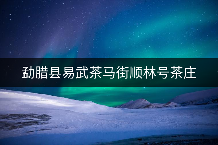 勐臘縣易武茶馬街順林號茶莊