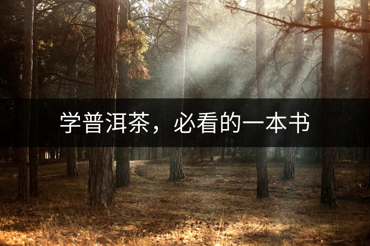 學(xué)普洱茶，必看的一本書