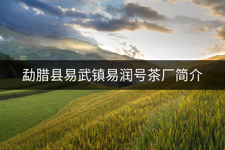 勐臘縣易武鎮(zhèn)易潤號茶廠簡介