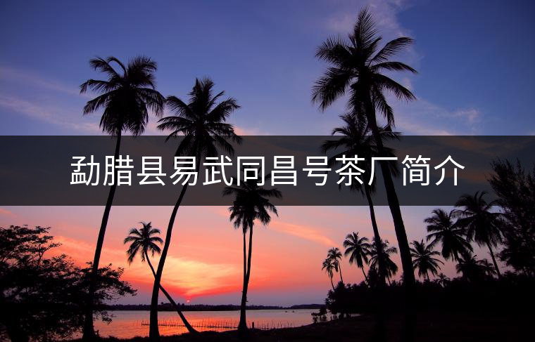 勐臘縣易武同昌號(hào)茶廠簡(jiǎn)介 勐臘縣易武同昌號(hào)茶廠簡(jiǎn)介