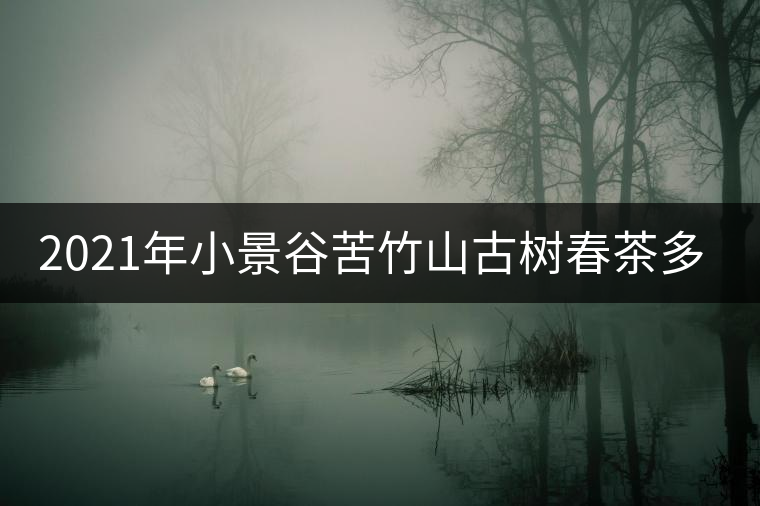 2021年小景谷苦竹山古樹(shù)春茶多少錢一公斤？