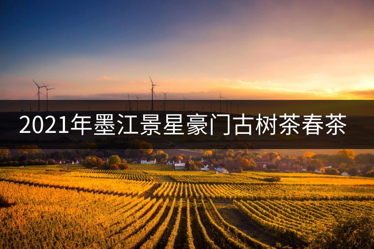 2021年墨江景星豪門古樹茶春茶價格多少錢一斤？