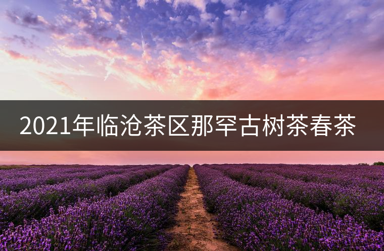 2021年臨滄茶區(qū)那罕古樹茶春茶多少錢一公斤？