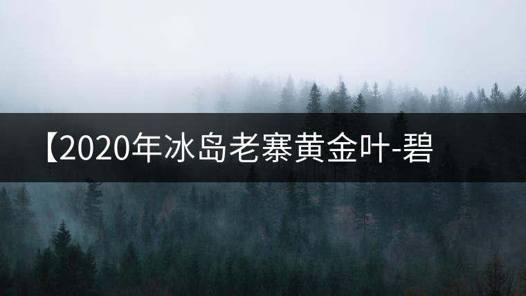 【2020年冰島老寨黃金葉-碧波蕩漾一抹香，輕啜半盞甘若露。