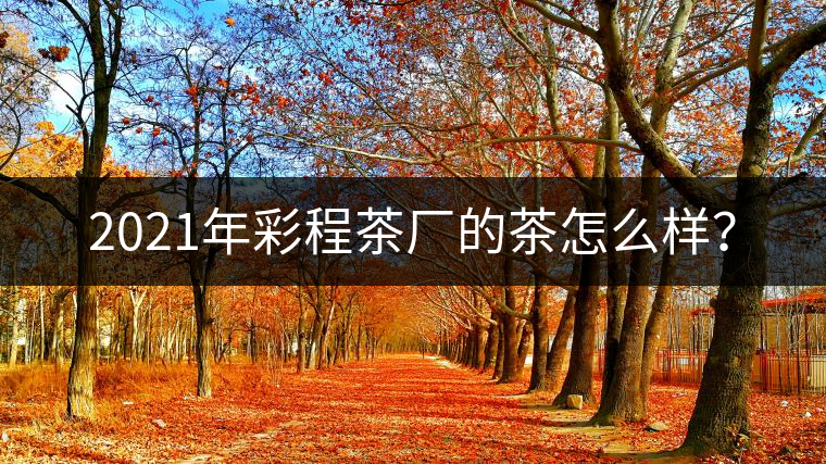 2021年彩程茶廠的茶怎么樣？