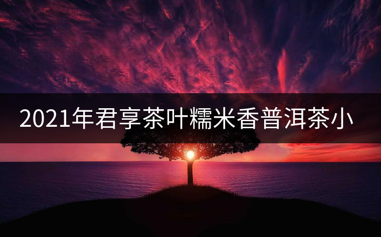 2021年君享茶葉糯米香普洱茶小沱茶餅口感好嗎？