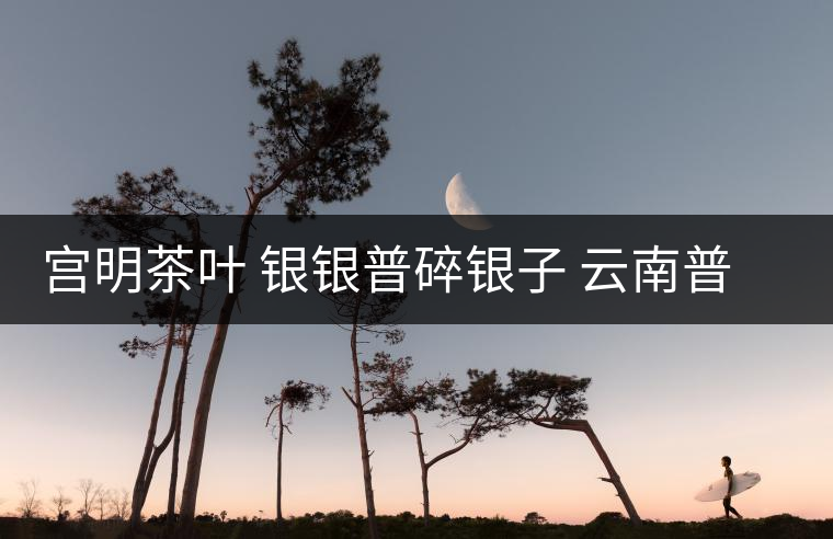 宮明茶葉 銀銀普碎銀子 云南普洱茶熟茶易武古樹糯米香老茶頭好喝嗎？