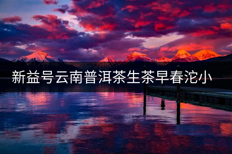 新益號(hào)云南普洱茶生茶早春沱小沱茶坨茶滋味如何？