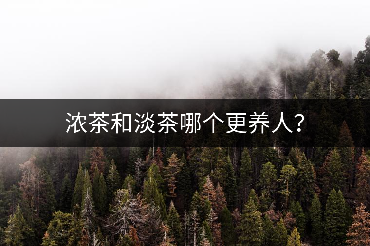 濃茶和淡茶哪個(gè)更養(yǎng)人？