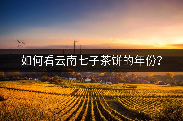 如何看云南七子茶餅的年份？